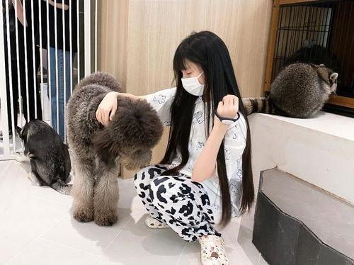 蔡萝莉免费吃瓜,揭秘网红圈幕后故事  第1张